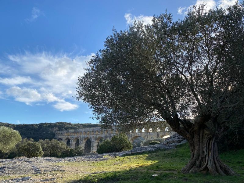 foto 15 Aluguer de frias entre particulares Uzs villa Languedoc-Roussillon Gard