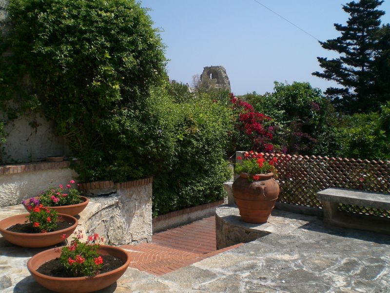 foto 3 Aluguer de frias entre particulares Torre dell'Orso villa Puglia Lecce (provncia de) Jardim