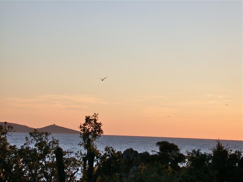 foto 14 Aluguer de férias entre particulares Propriano villa Córsega Córsega do Sul Vista desde do alojamento