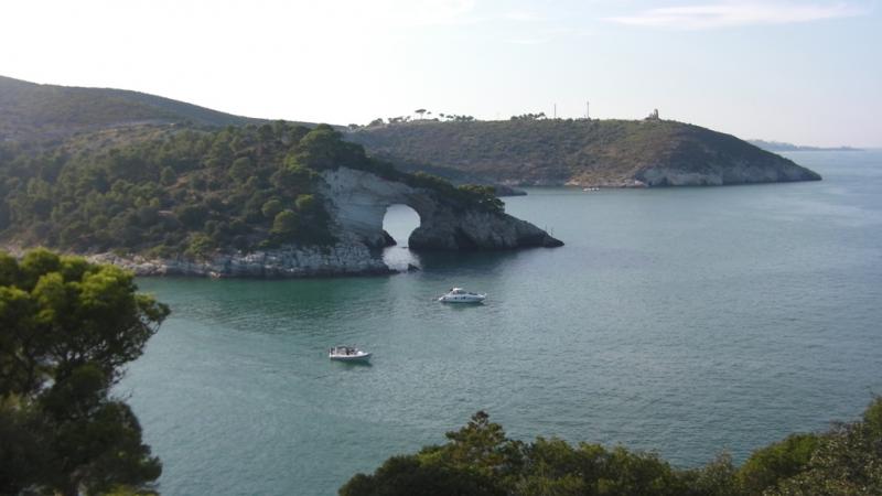 foto 8 Aluguer de frias entre particulares Vieste appartement Puglia Foggia (provncia de) Outras