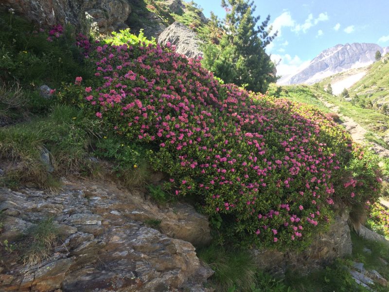 foto 16 Aluguer de frias entre particulares Val Cenis appartement Rdano-Alpes Sabia