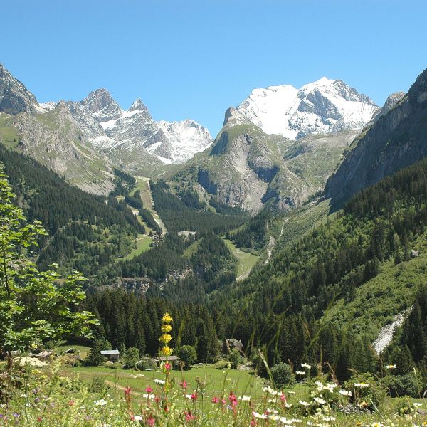 foto 16 Aluguer de férias entre particulares Pralognan la Vanoise appartement Ródano-Alpes Sabóia Vista dos arredores