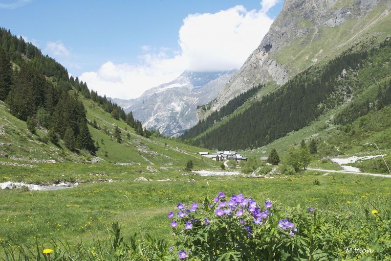 foto 19 Aluguer de férias entre particulares Pralognan la Vanoise appartement Ródano-Alpes Sabóia Vista dos arredores