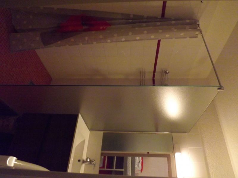 foto 2 Aluguer de frias entre particulares Les 2 Alpes appartement Rdano-Alpes Isre casa de banho