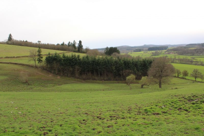 foto 18 Aluguer de frias entre particulares Autun gite Borgogne Sane et Loire Vista dos arredores