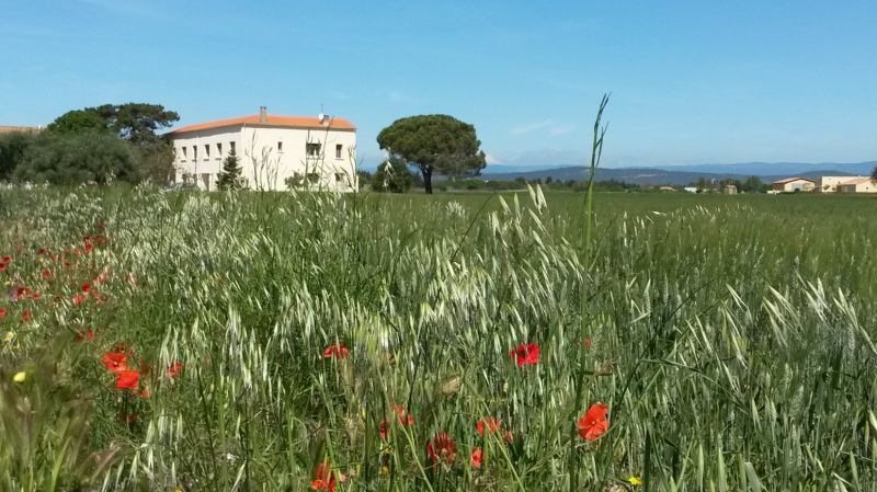 foto 1 Aluguer de frias entre particulares Narbonne maison Languedoc-Roussillon Aude