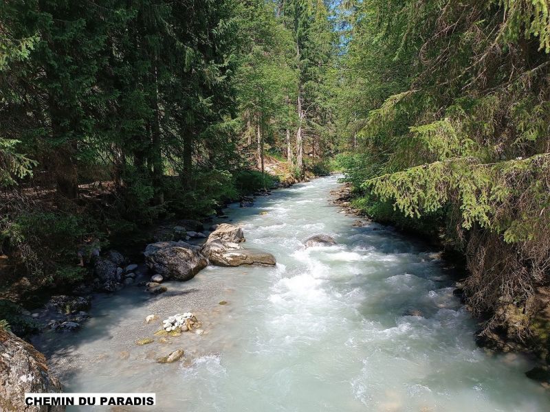 foto 17 Aluguer de frias entre particulares Chamonix Mont-Blanc appartement Rdano-Alpes Alta Sabia Outras