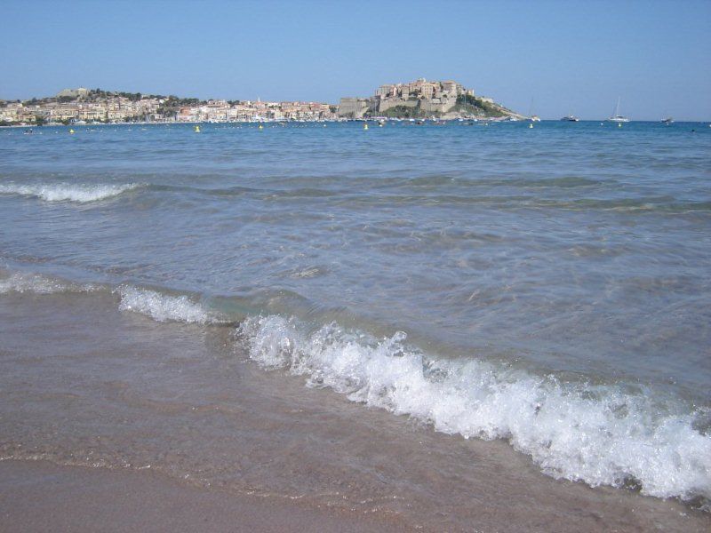 foto 5 Aluguer de férias entre particulares Calvi studio Córsega Alta Córsega Praia