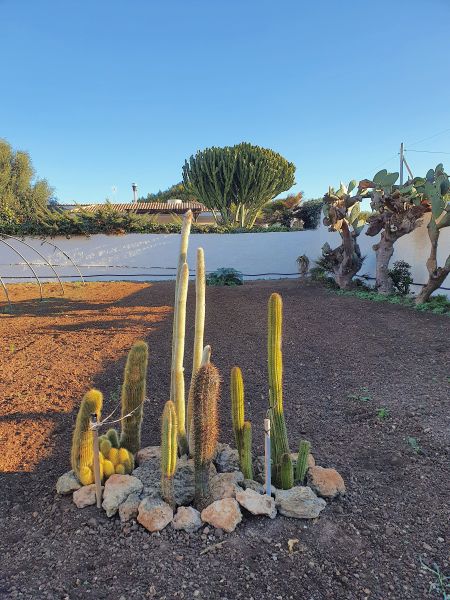 foto 22 Aluguer de férias entre particulares Tre Fontane villa Sicília Trápani (província de) Jardim