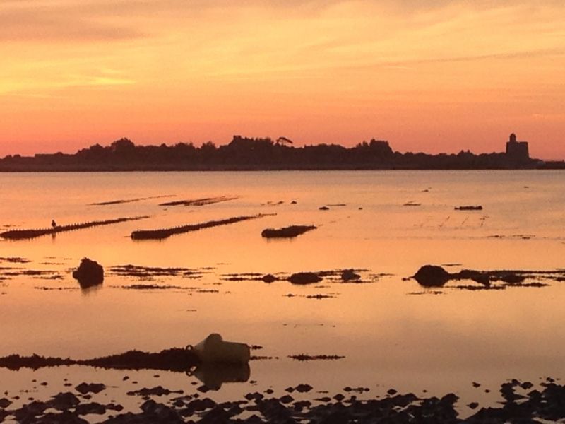 foto 18 Aluguer de férias entre particulares Barfleur maison Baixa-Normandia Mancha Vista dos arredores