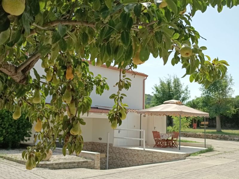 foto 0 Aluguer de férias entre particulares Castelsardo appartement Sardenha Sássari (província de)