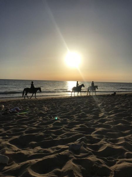 foto 19 Aluguer de frias entre particulares Dolus d'Olron maison Poitou-Charentes Charente-Maritime Praia