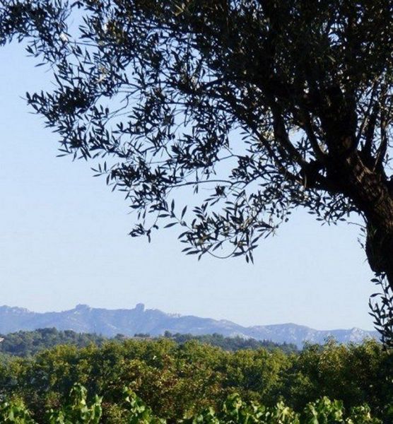 foto 5 Aluguer de férias entre particulares Aix en Provence maison Provença-Alpes-Costa Azul Bocas do Ródano Vista desde do alojamento