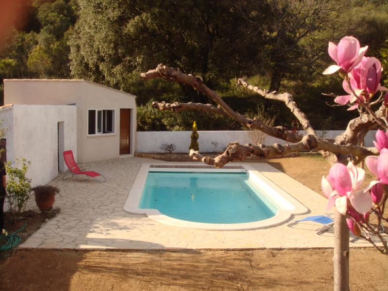 foto 1 Aluguer de frias entre particulares La Roque-sur-Cze gite Languedoc-Roussillon Gard Piscina