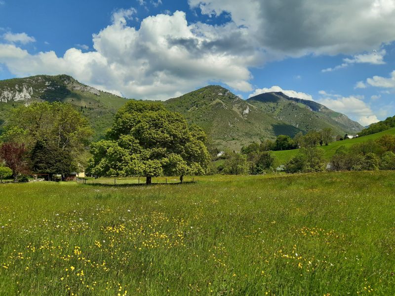 foto 14 Aluguer de frias entre particulares Bagnres de Bigorre gite Midi-Pyrnes Altos Pirineus