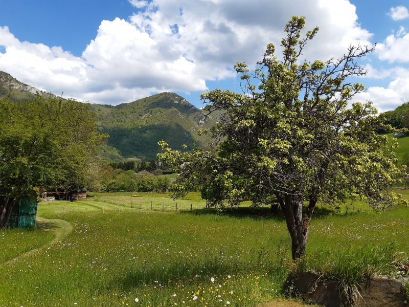 foto 17 Aluguer de frias entre particulares Bagnres de Bigorre gite Midi-Pyrnes Altos Pirineus