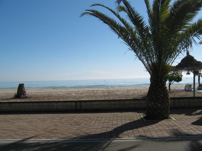 foto 12 Aluguer de férias entre particulares Tortoreto appartement Abruzzo Teramo Vista dos arredores