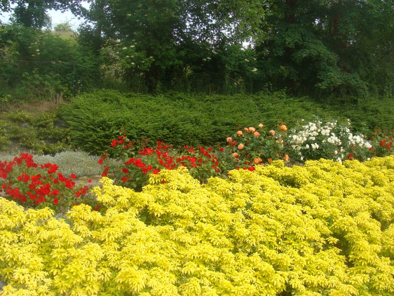 foto 13 Aluguer de férias entre particulares Arromanches gite Baixa-Normandia Calvados Jardim