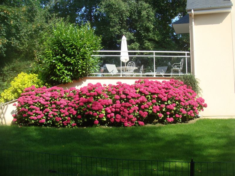 foto 15 Aluguer de férias entre particulares Arromanches gite Baixa-Normandia Calvados Jardim