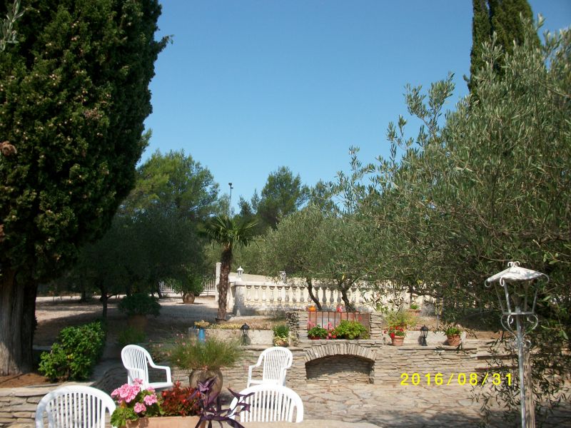 foto 21 Aluguer de frias entre particulares Montpellier gite Languedoc-Roussillon Hrault Jardim
