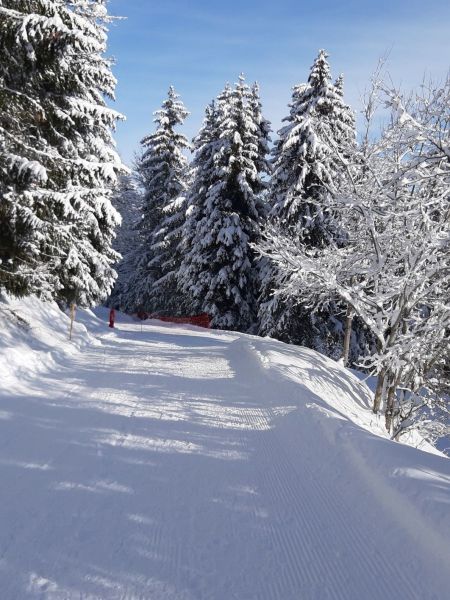 foto 11 Aluguer de férias entre particulares Valmorel studio Ródano-Alpes Sabóia