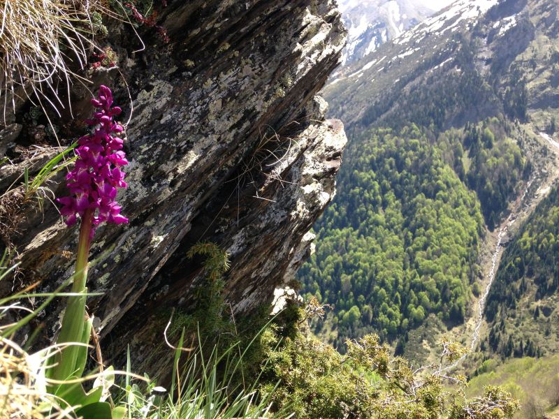 foto 17 Aluguer de férias entre particulares Piau Engaly studio Midi-Pyrénées Altos Pirineus Vista dos arredores