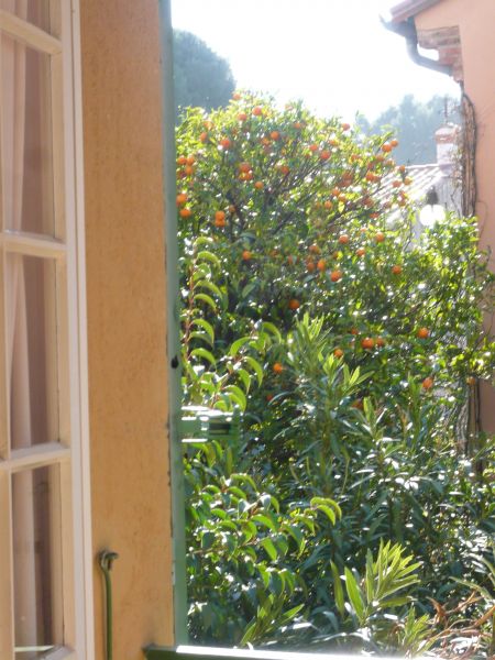 foto 8 Aluguer de frias entre particulares Collioure appartement Languedoc-Roussillon Pirineus Orientais