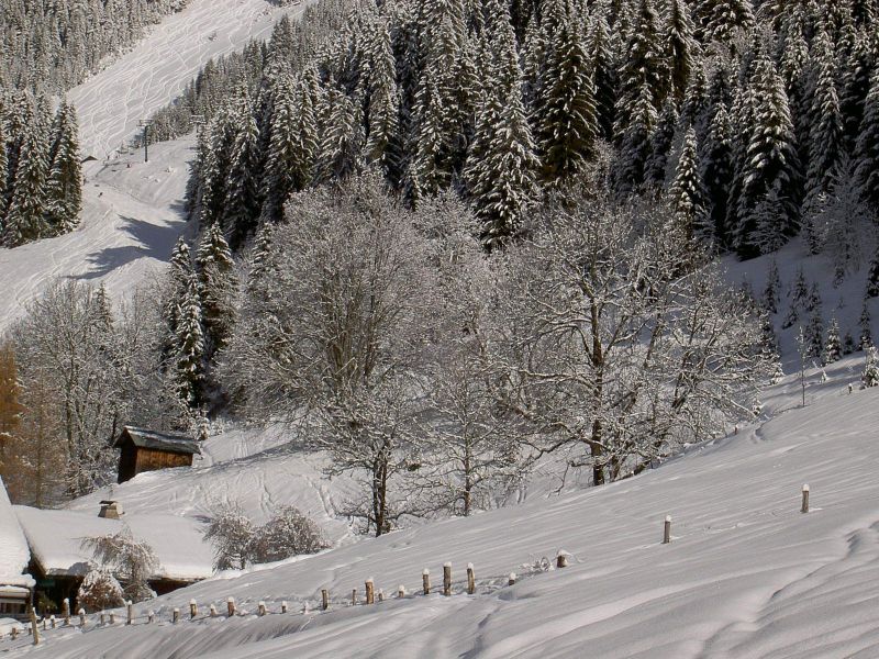 foto 2 Aluguer de frias entre particulares Chtel chalet Rdano-Alpes Alta Sabia Vista desde do alojamento