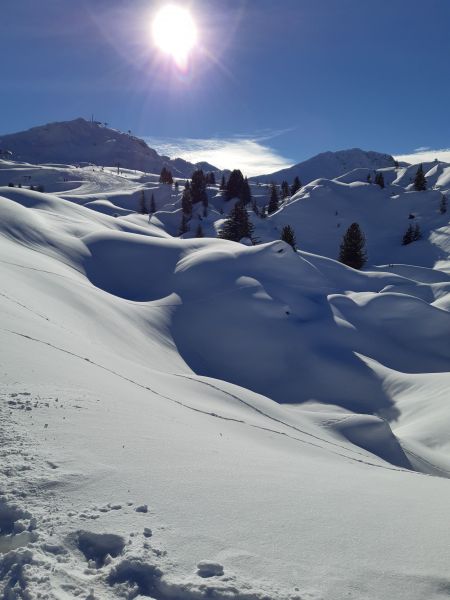 foto 21 Aluguer de férias entre particulares La Plagne appartement Ródano-Alpes Sabóia Vista dos arredores