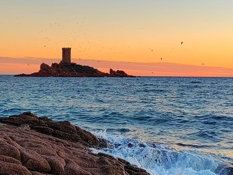 foto 22 Aluguer de férias entre particulares Agay appartement Provença-Alpes-Costa Azul Var Outras