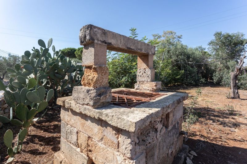 foto 25 Aluguer de férias entre particulares Ugento - Torre San Giovanni villa   Jardim