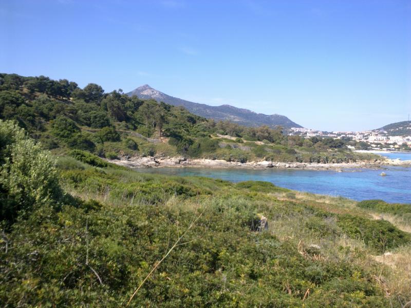 foto 1 Aluguer de frias entre particulares Location Ile Rousse appartement Crsega Alta Crsega Vista dos arredores