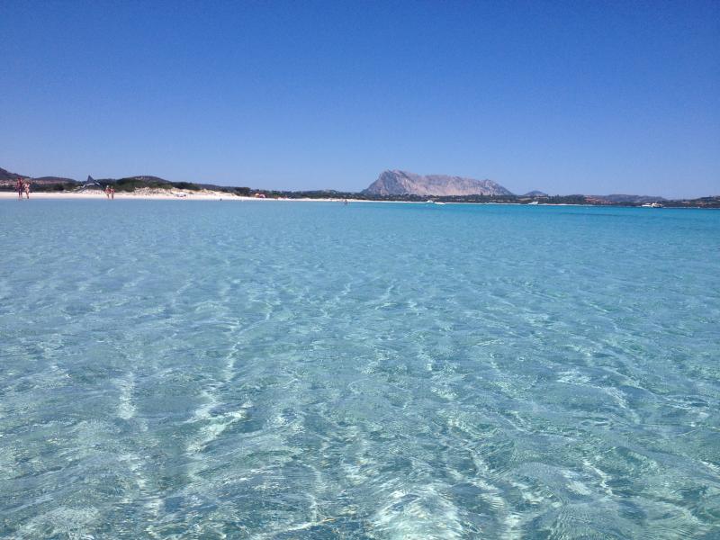 foto 14 Aluguer de férias entre particulares San Teodoro appartement Sardenha Olbia Tempio (província de)