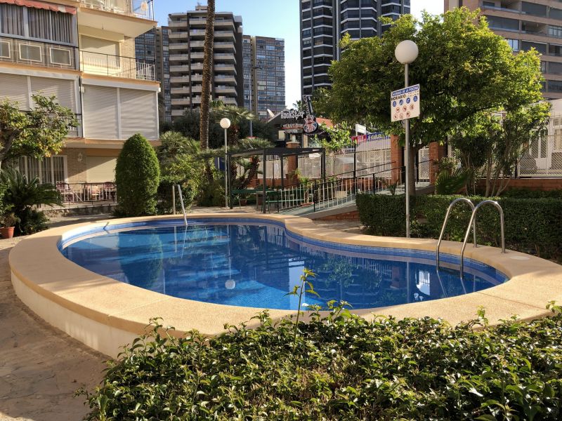 foto 0 Aluguer de frias entre particulares Benidorm appartement Comunidade Valenciana Alicante (provncia de) Piscina