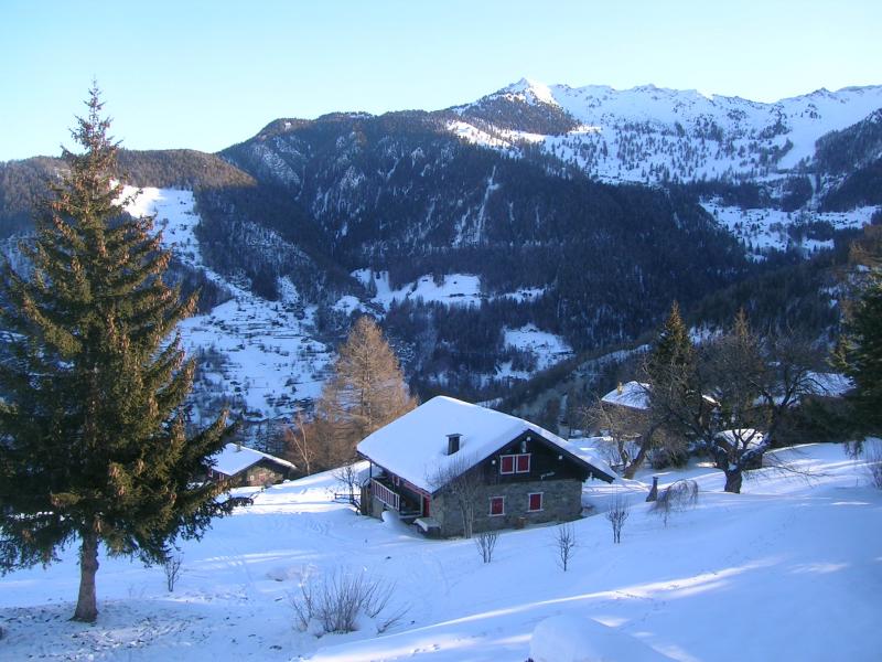 foto 8 Aluguer de frias entre particulares La Tzoumaz appartement Valais  Vista do terrao