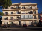 Aluguer apartamentos frias: appartement n 90997