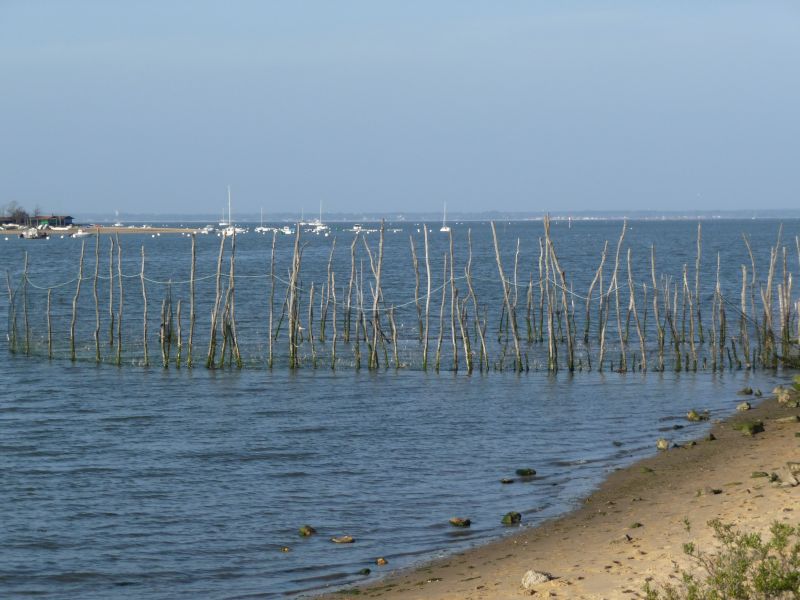 foto 12 Aluguer de férias entre particulares Arcachon appartement Aquitânia Gironda Vista exterior do alojamento