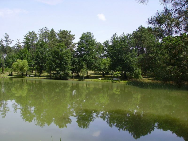 foto 13 Aluguer de férias entre particulares Bergerac gite Aquitânia Dordogne