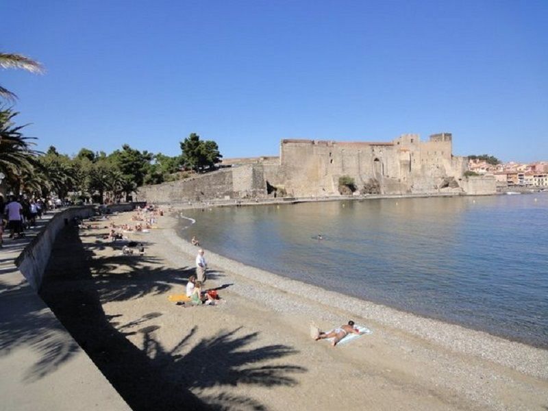 foto 16 Aluguer de frias entre particulares Collioure studio Languedoc-Roussillon Pirineus Orientais Praia