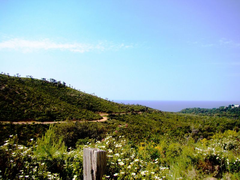 foto 2 Aluguer de frias entre particulares Hyres maison Provena-Alpes-Costa Azul Var Vista dos arredores