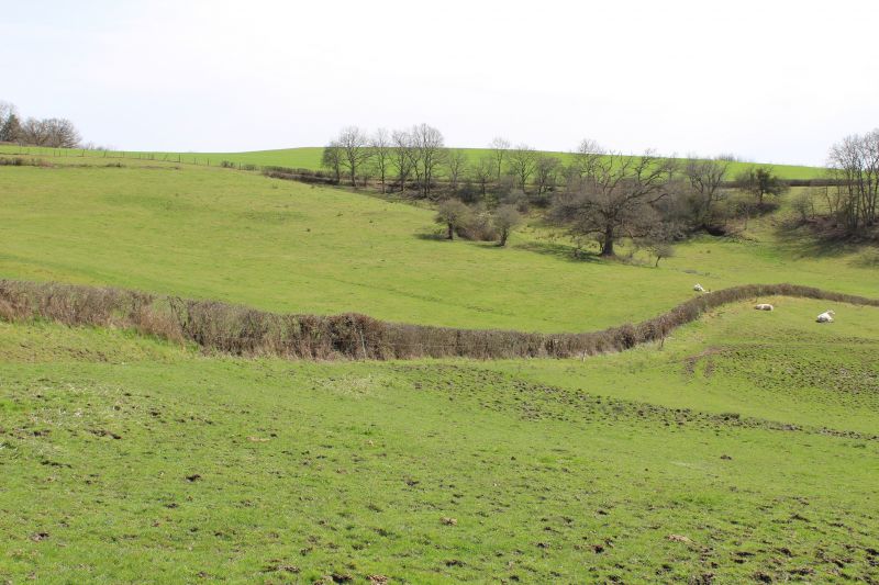 foto 17 Aluguer de frias entre particulares Autun gite Borgogne Sane et Loire Vista do terrao