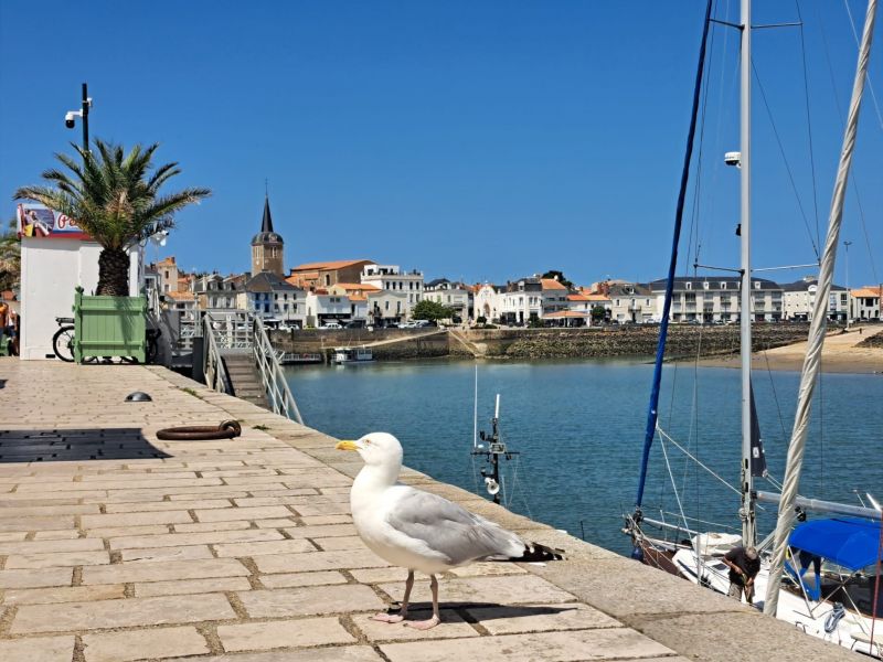 foto 19 Aluguer de férias entre particulares Les  Sables d'Olonne maison Pays de la Loire Vendée Vista dos arredores