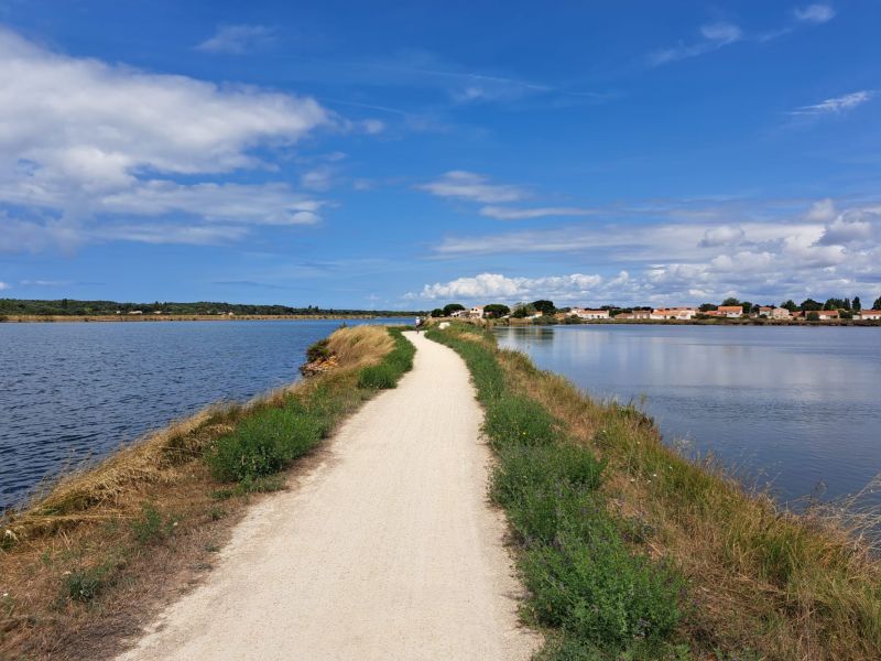 foto 25 Aluguer de férias entre particulares Les  Sables d'Olonne maison Pays de la Loire Vendée Vista dos arredores