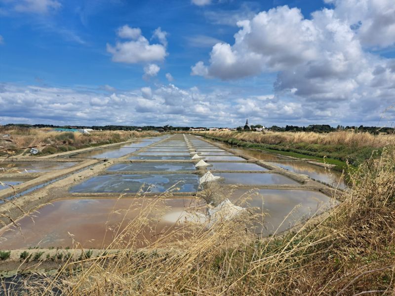 foto 26 Aluguer de férias entre particulares Les  Sables d'Olonne maison Pays de la Loire Vendée Vista dos arredores