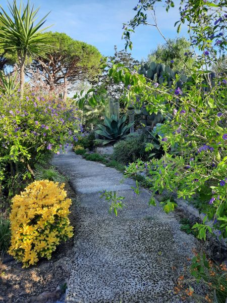 foto 15 Aluguer de frias entre particulares Lloret de Mar appartement Catalunha Girona (provncia de) Jardim