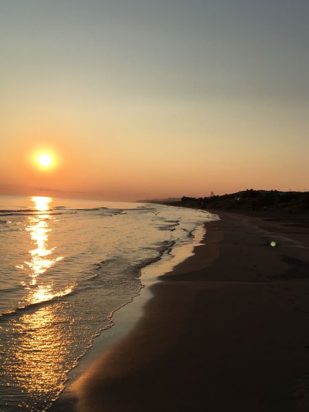 foto 17 Aluguer de frias entre particulares Gargano appartement Puglia Foggia (provncia de) Praia