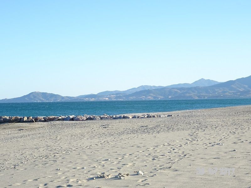 foto 8 Aluguer de férias entre particulares Saint Cyprien Plage appartement Languedoc-Roussillon Pirineus Orientais Praia