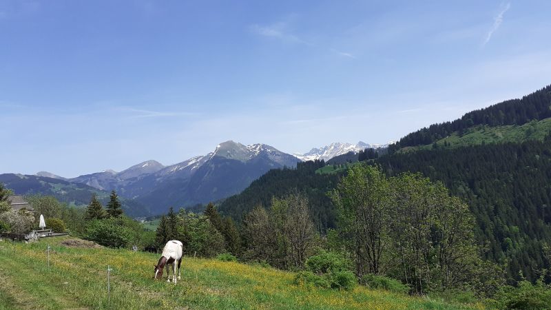 foto 18 Aluguer de frias entre particulares Morzine studio Rdano-Alpes Alta Sabia Vista desde do alojamento