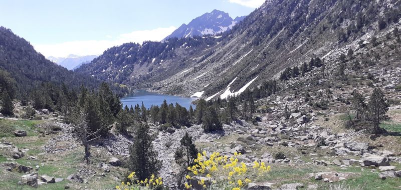 foto 24 Aluguer de férias entre particulares Arreau appartement Midi-Pyrénées Altos Pirineus Outras