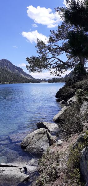 foto 25 Aluguer de férias entre particulares Arreau appartement Midi-Pyrénées Altos Pirineus Outras